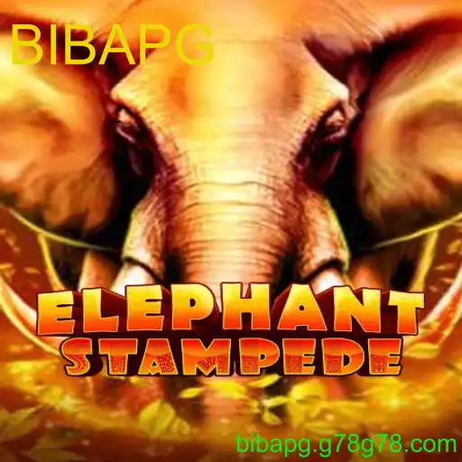 ElephantStampede